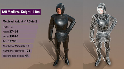 TAB Medieval Knight - 1Rm A - Skin2