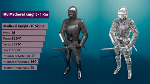 TAB Medieval Knight - 1Rm C - Skin1
