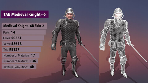 TAB Medieval Knight - 6B - Skin2