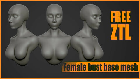 Female bust base mesh