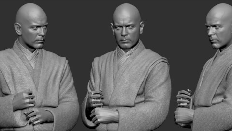 Decimated Obi Model for Study - 3D Printing - Hair Generation