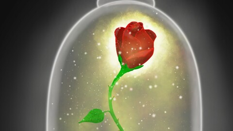 Enchanted rose digital painting