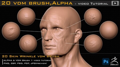 20 Skin Wrinkle VDM Brush & Alpha + Video Tutorial