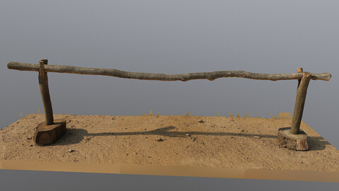 Photoscan_OBJ_0075_only HighPoly Mesh (16K Texture)