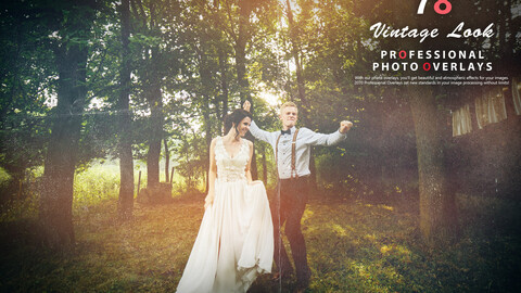 78 Vintage Look Photo Overlays