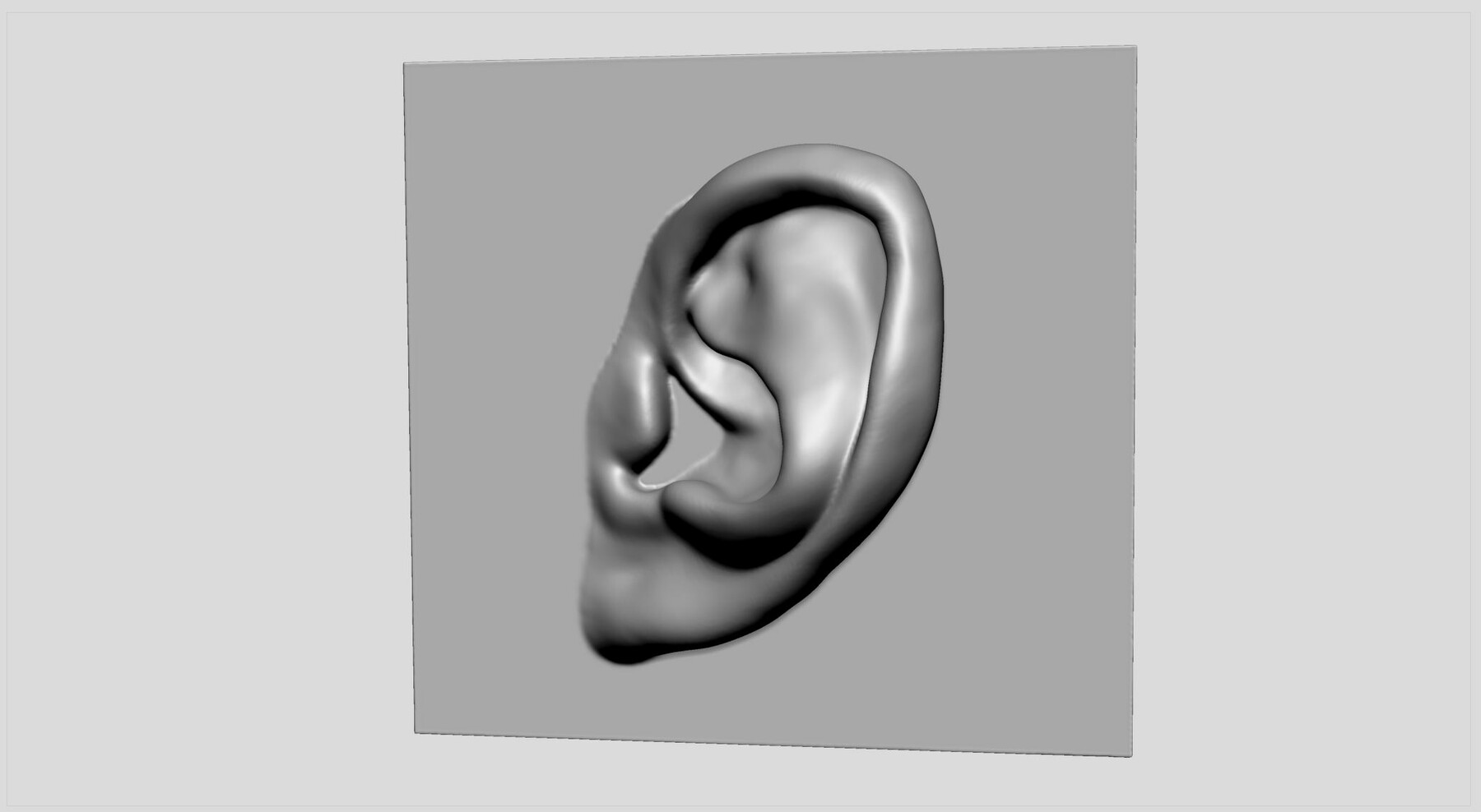 Artstation - Ear Printable 