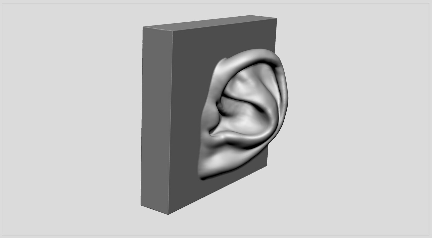 Artstation - Ear Printable 