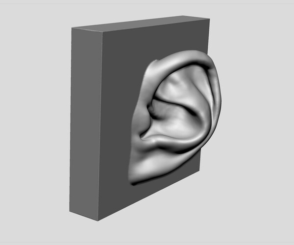 ArtStation - Ear Printable | Resources