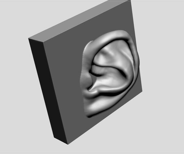 ArtStation - Ear Printable | Resources