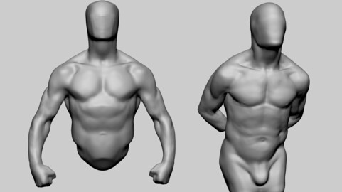 Male Torso Studies 03