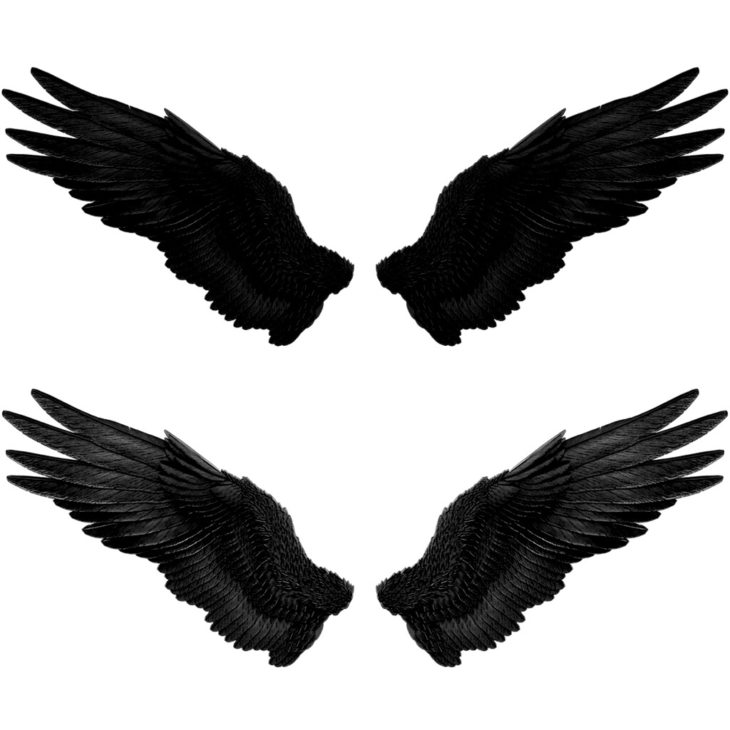 dark angel wings png