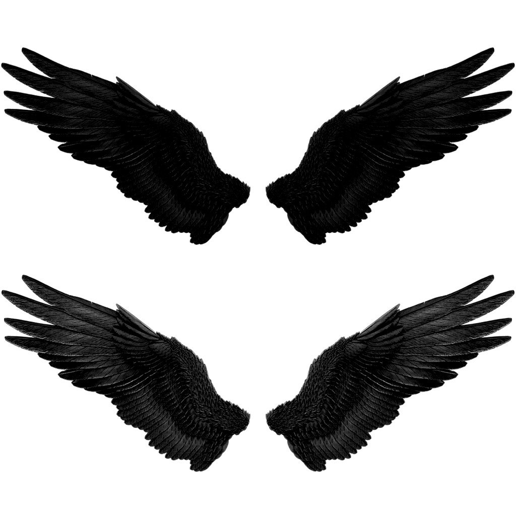 fallen angel wings drawings