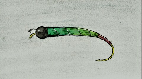 Water Colour Chironomid