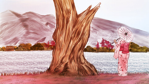 Sunset at cherry time