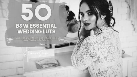 50 Black and White Essential Wedding LUTs Pack