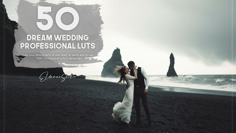 50 Dream Wedding LUTs Pack