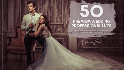 50 Premium Wedding LUTs Pack