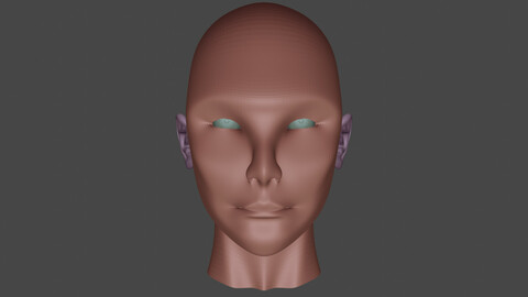 Head-Eye-Ear 3D Model - Blender