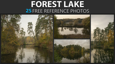 Forest Lake - Free Reference Pack