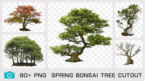 SPRING BONSAI TREE CUTOUT - Photo reference pack - 90+ PNG & 1 bonus PSD