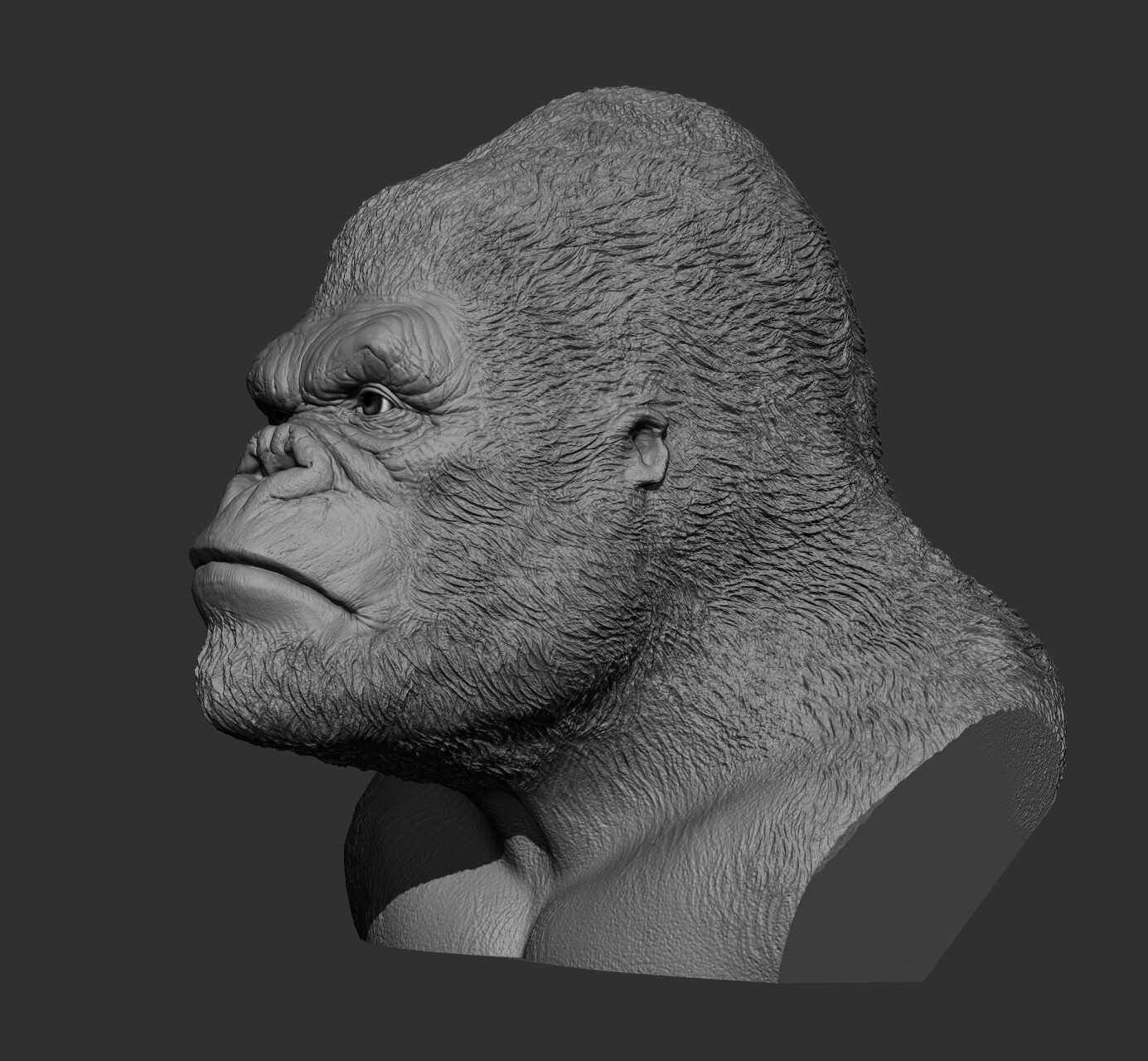 ArtStation - King Kong' bust 3d model for printing | Resources