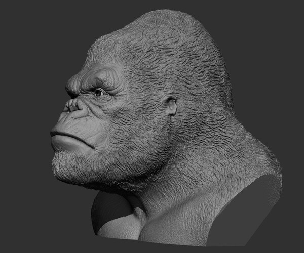 ArtStation - King Kong' bust 3d model for printing | Resources