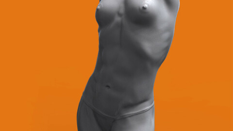 Female torso