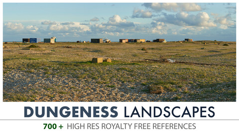 DUNGENESS - LANDSCAPES