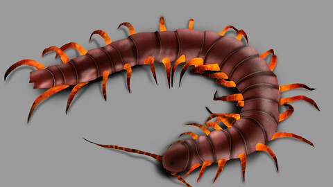 Digitally painted centipede