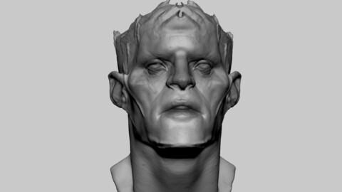 Fantasy Creature Head 05