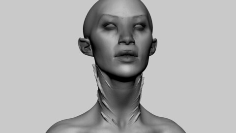 Fantasy Female Head 03
