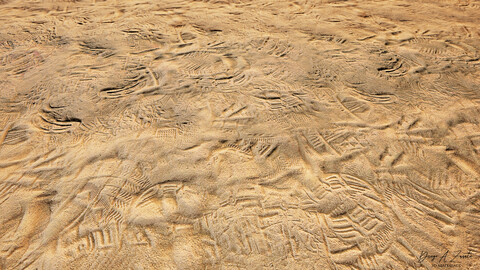 PBR sand with footprints 2k Seamless