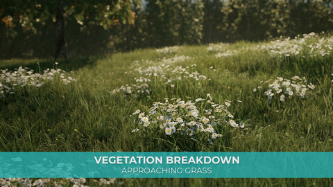 Vegetation Breakdown - Approaching Grass