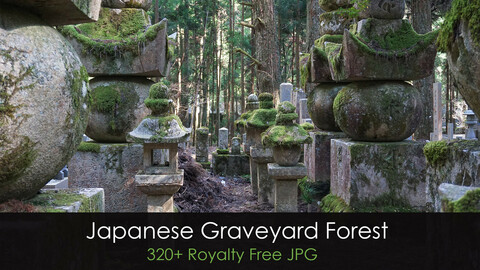 Japanese Graveyard Forest (Kōya-san) - photo reference pack