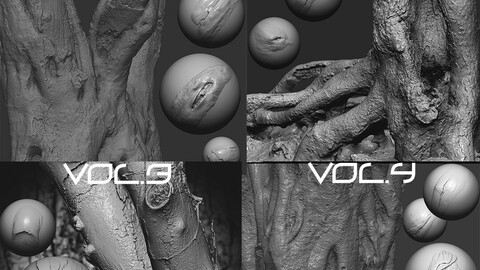 Z brush - Trunk Detail Brushes  4 Volume