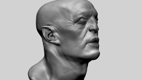 Fantasy Creature Head 06