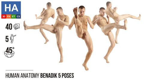 Human Anatomy | Benadik 5 Fighting Poses | 40 Photos