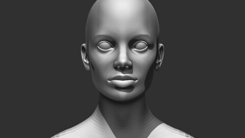 Female Head Realistic Base Mesh #2 3D Model