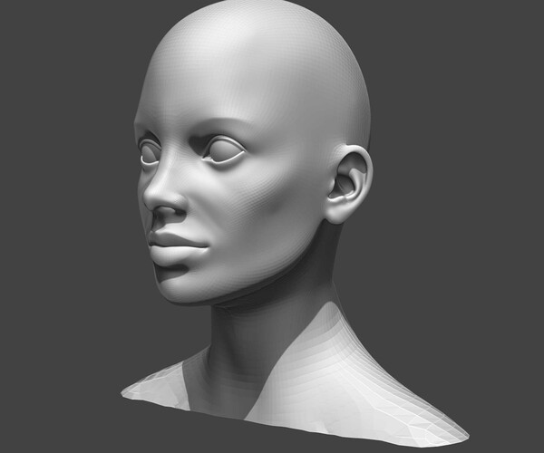 ArtStation - Female Head Realistic Base Mesh #2 3D Model | Game Assets