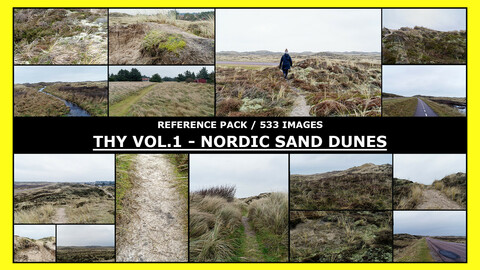 THY VOL.1 - NORDIC SAND DUNES / Photo Reference / 500+ images