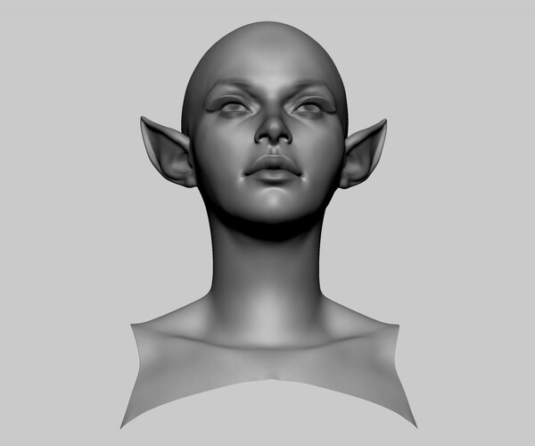 ArtStation - Stylized Female Head | Resources