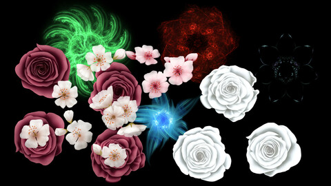 Roses, Alien Buds, and Cherry Blossoms, Oh My! (Stock)