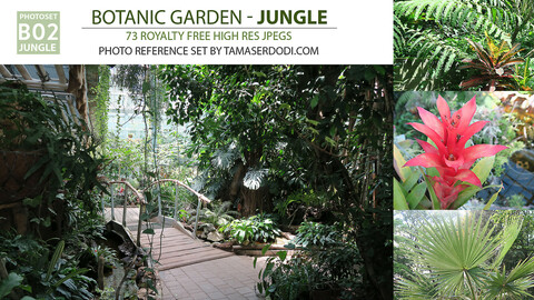 B02 Botanic Garden Jungle Tropical Rainforest Wet Greenhouse
