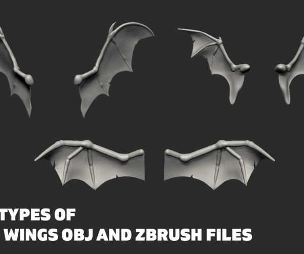 how to trim a wing in zbrush