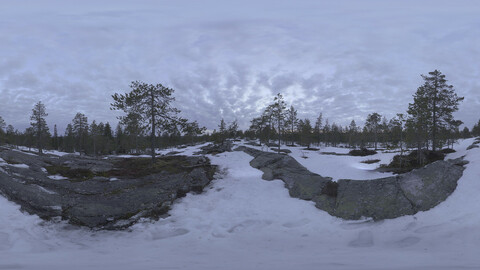 Nature HDRI - Northern Spring Forest