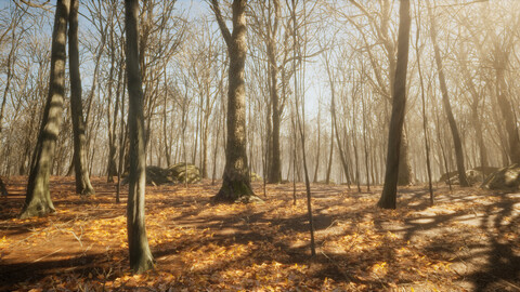 Dark Forest Pack for UE4.26
