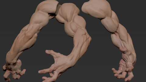 Arms Gesture1