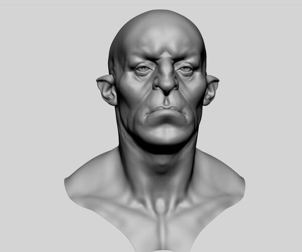 ArtStation - Creature Head 05 | Resources