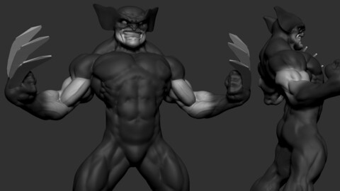 Wolverine Base Sketch