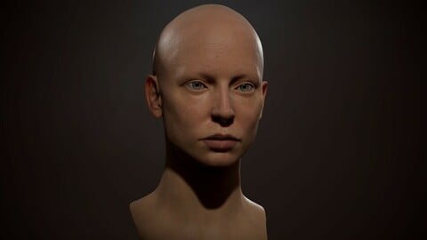 Realistic female head Low-poly